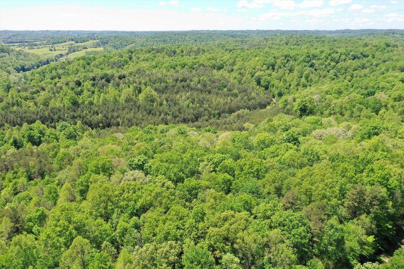 030 drone shot from the center of the property facing southwest