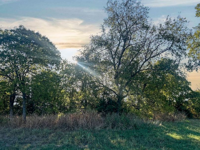 Lamar County- 93 acre reshoot (37 of 38)