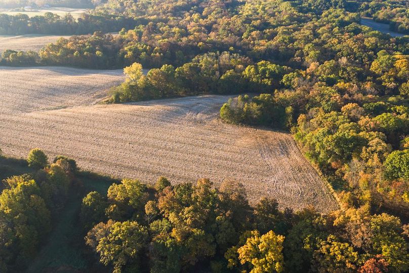 DJI_20251031082656_0262_D-HDR