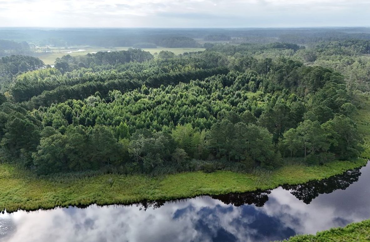 F_IMG23_60AC_dji_fly_20250811_084052_0018_1754945049493_photo