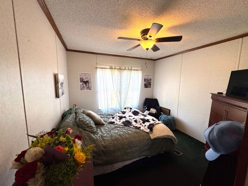 Pic 22
