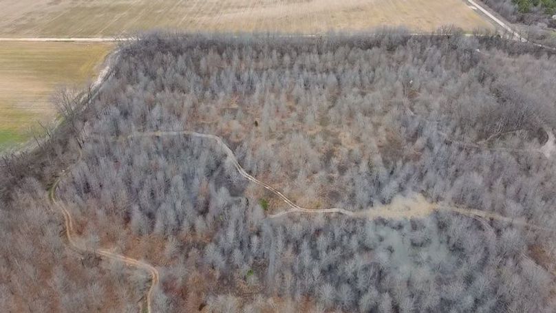 2024-02-29-15-45-20-011