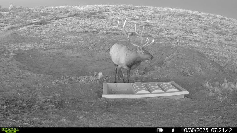 016578004267347-94-3-10302025072142-V-SYFW03438