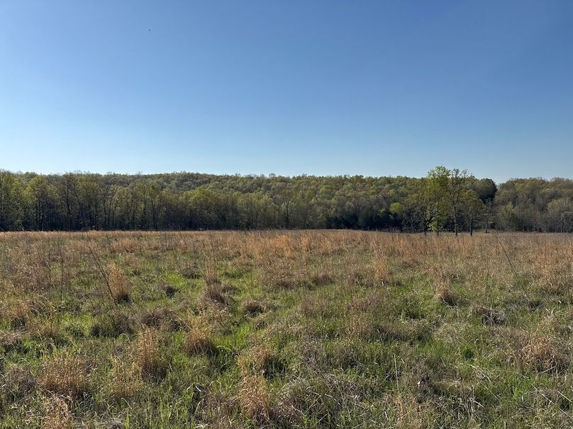 DJI_20260409_091719_361