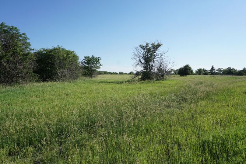 Eastern pasture looking south