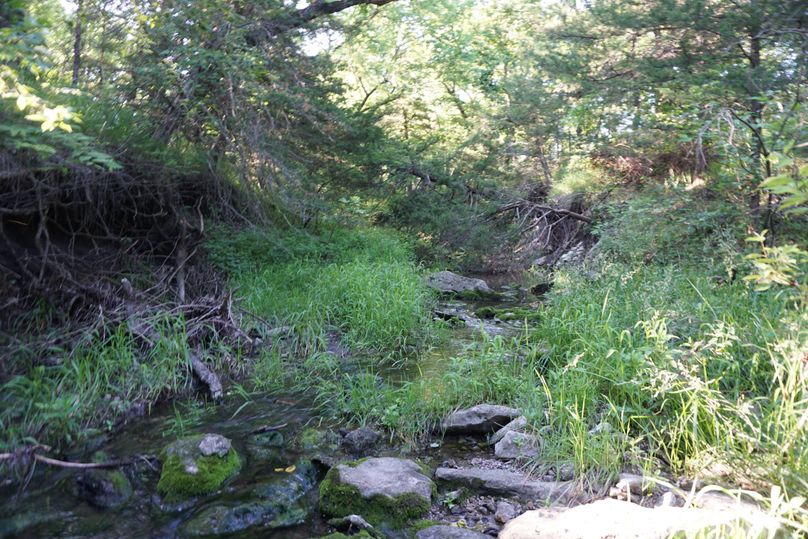 1 creek along west side