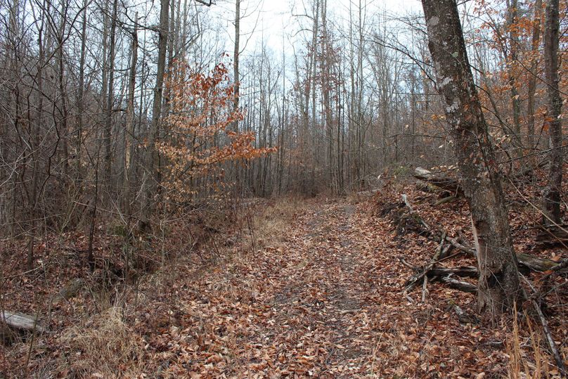 044 old logging road leading up the west side of the valley