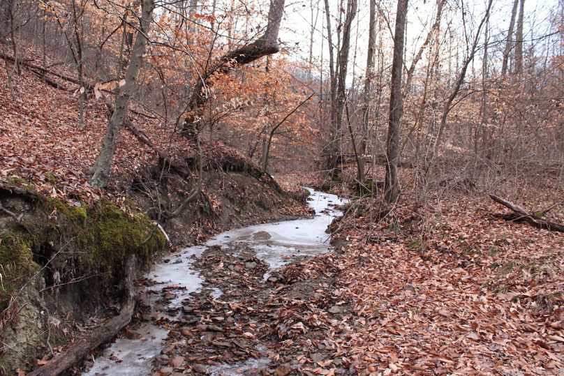 003 stream near south boundary