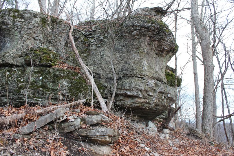 002 limestone peak at the northwest boundary