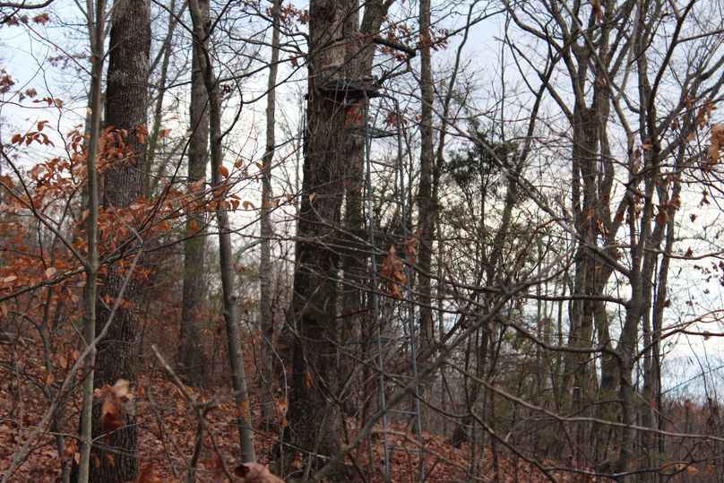 008 ladder stand just off secondary ridge near a saddle