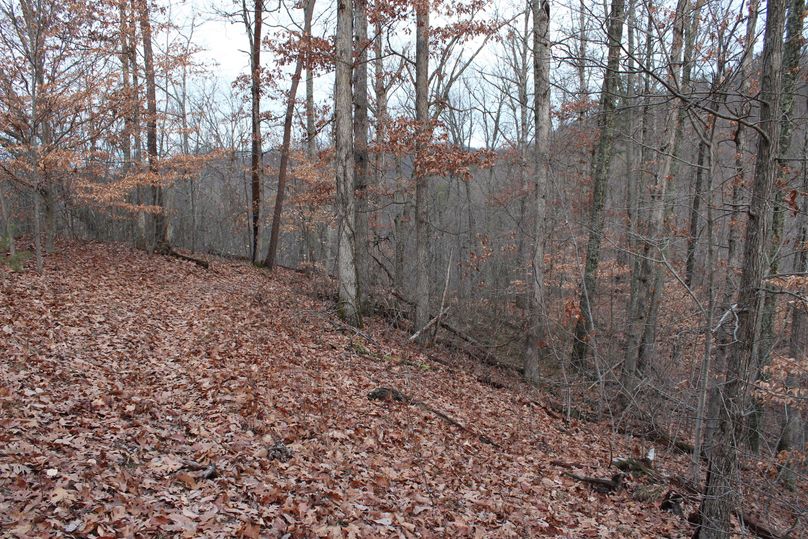 012 old road leading along the top of a secondary ridge