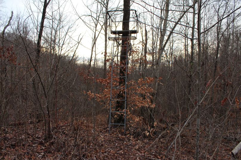 017 double ladder stand at the top of a wooded draw