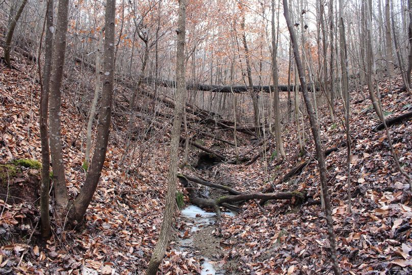 024 upper reaches of northeast watershed