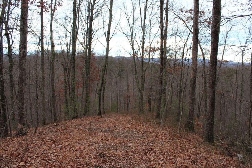 026 view facing the southeast from the northwest peak