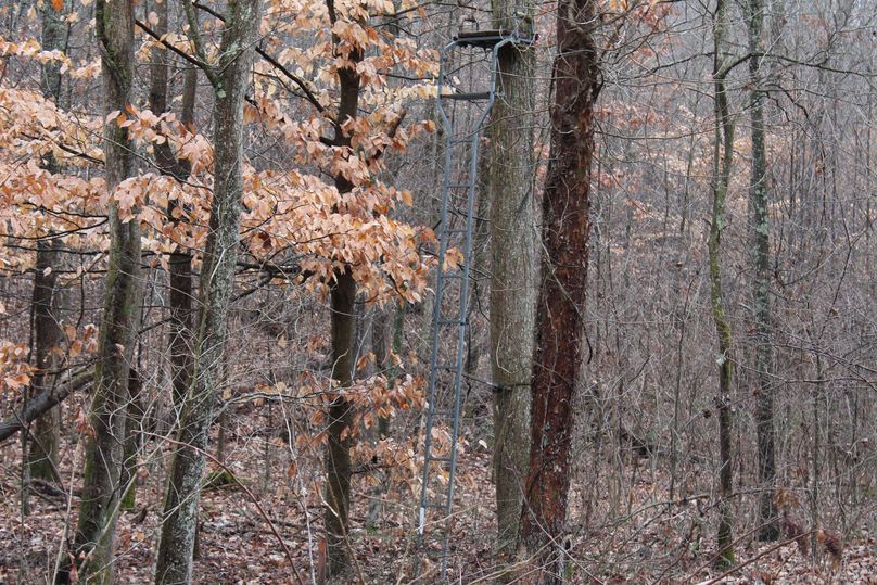 032 ladder stand located along the junction of the valley drains