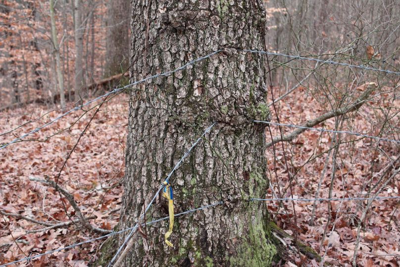 039 fencing along the northwestern boundary