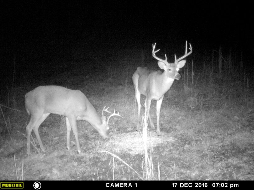 001 tc powell 76 neal