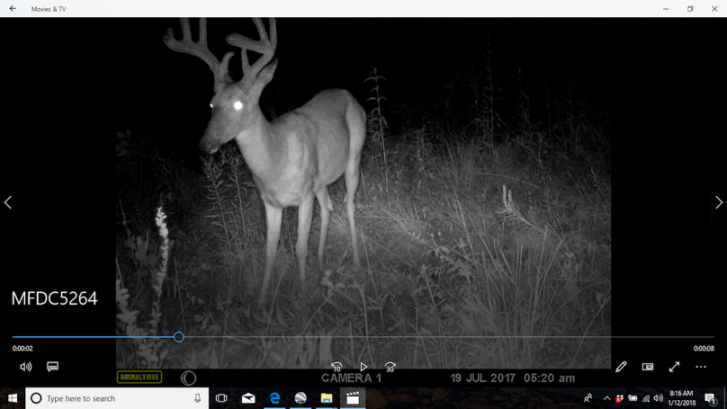 002 tc powell 76 neal