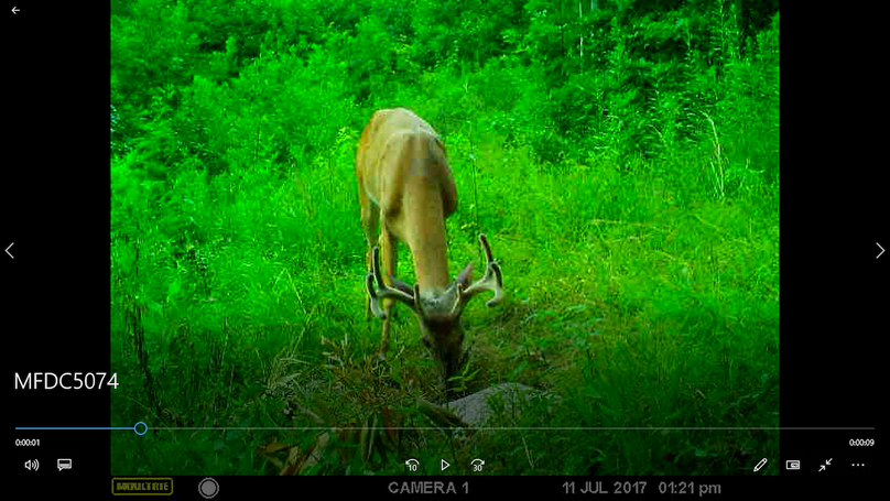 003 tc powell 76 neal