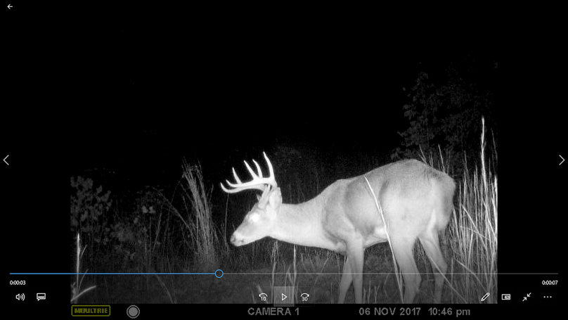 004 tc powell 76 neal