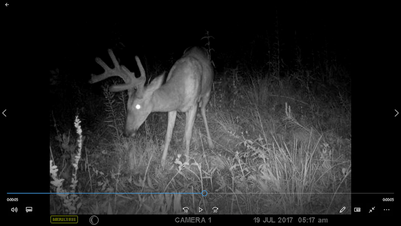 007tc powell 76 neal