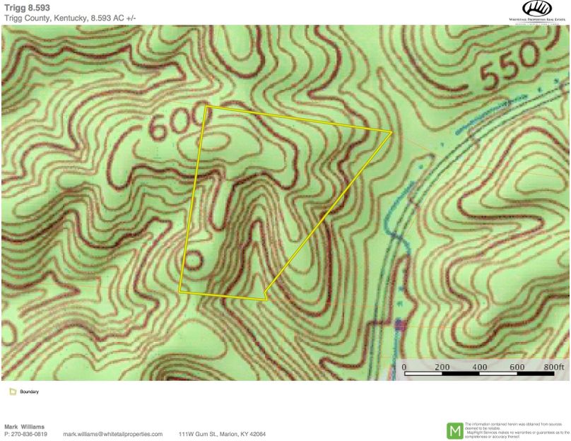 Trigg 8.593 topo copy