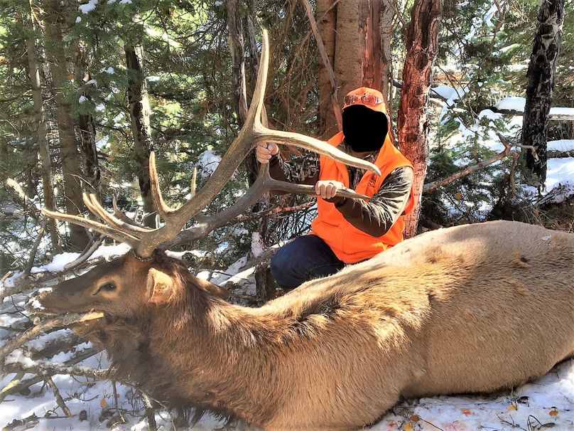 Inkedimg 3661 (1) (1) li