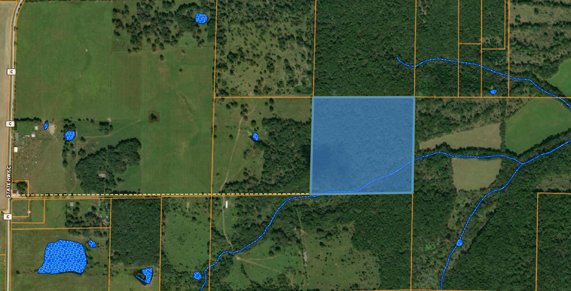 Screen shot 2019-07-11 at 7.10.57 pm