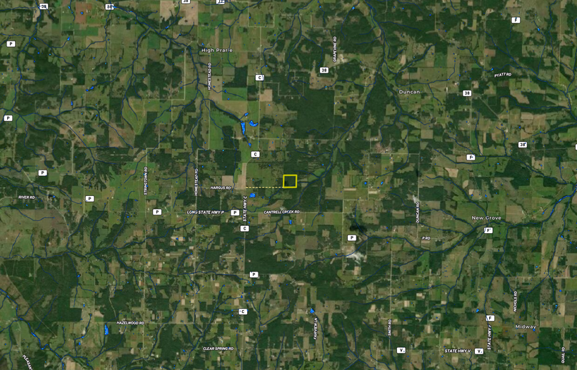 Screen shot 2019-07-11 at 7.13.04 pm