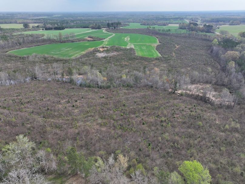 DJI_20260303062639_0513_D