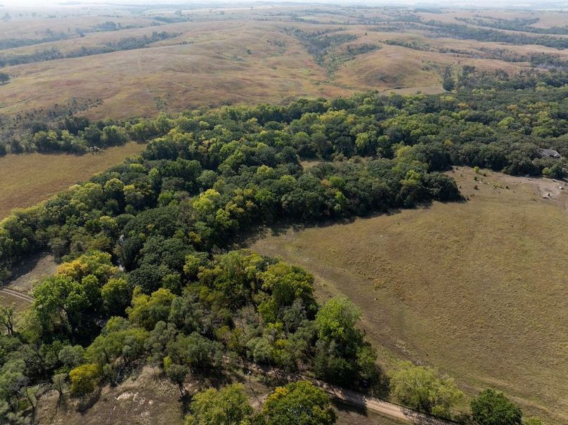 20240913-DJI_20240913105639_0127_D