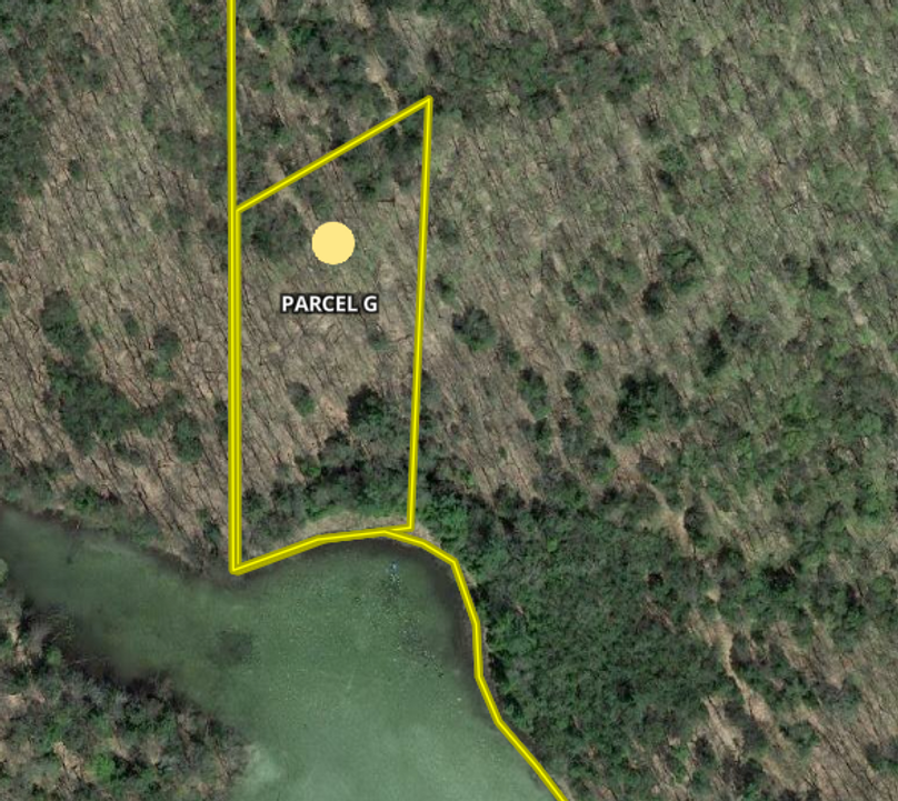 Screen shot 2020-01-23 at 4.05.45 pm