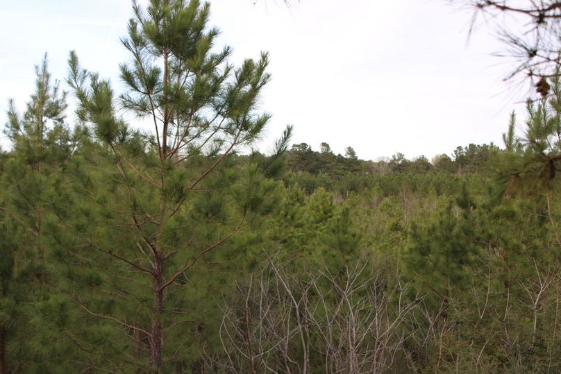 512764EC-E529-4BBF-9BA5-3E553FECDE58_1_105_c