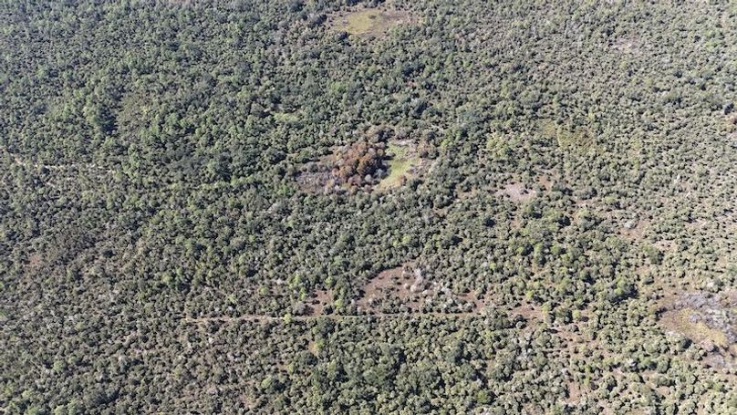 DJI_20251121121406_0008_D