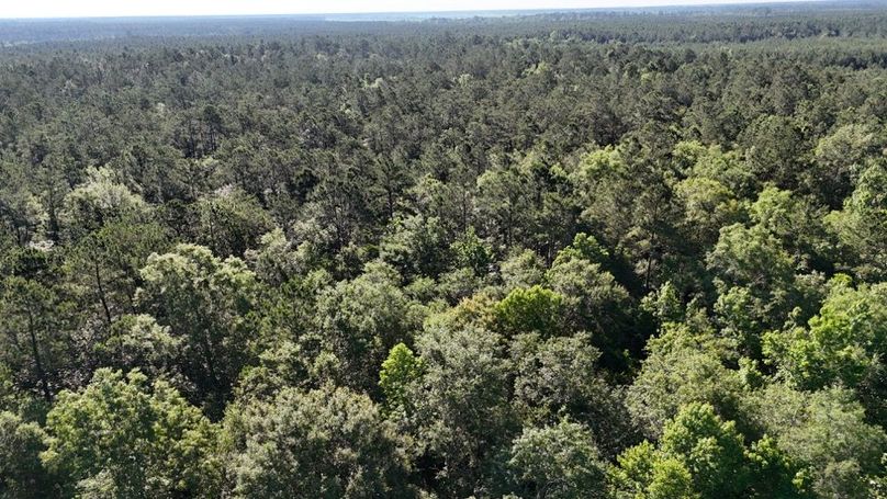 dji_fly_20260512_091338_0163_1778611347637_photo