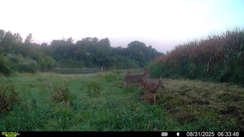 016579006920529-100-4-08312025063348-SYFW00136