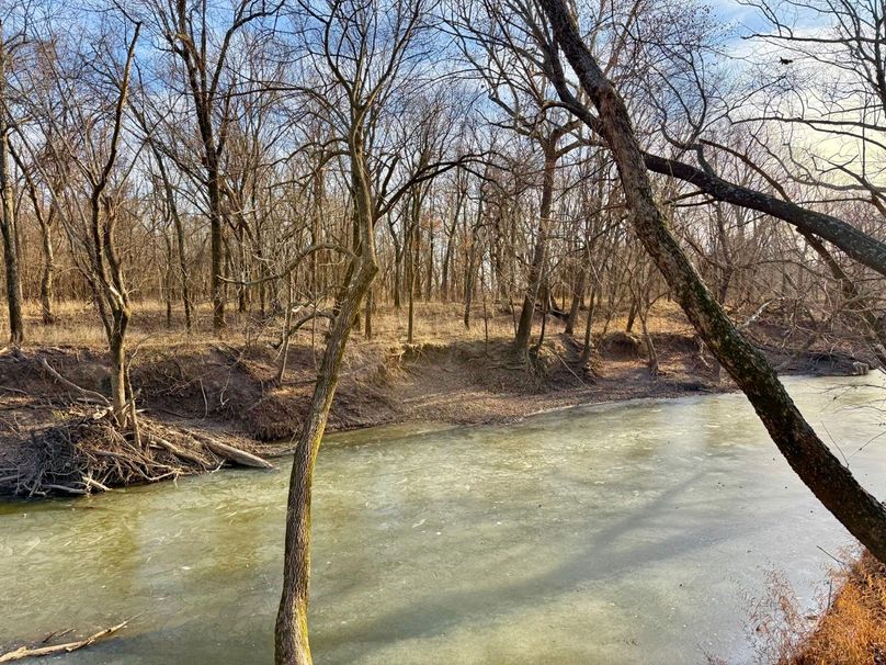 Copy of IMG_7177 Large