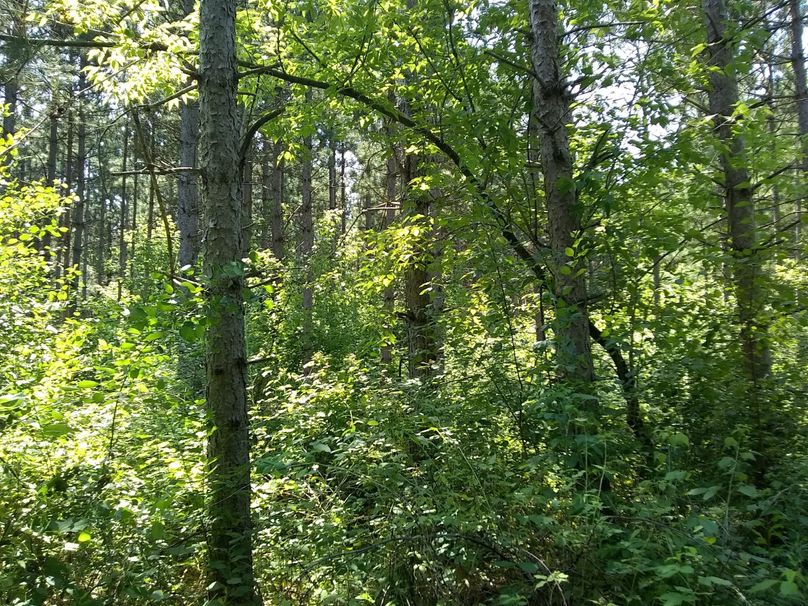 Img 20190715 130949069