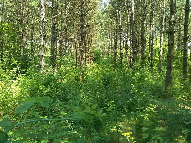 Img 20190715 131458394