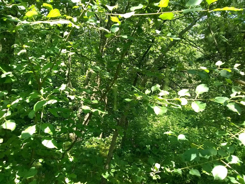 Img 20190715 131002429