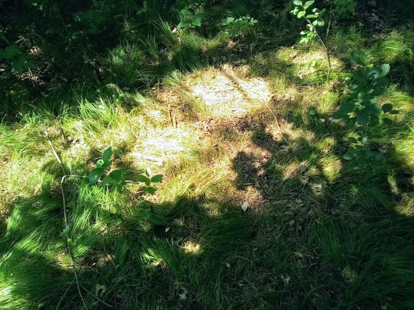 Img 20190715 131047668