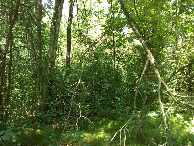 Img 20190715 131057458