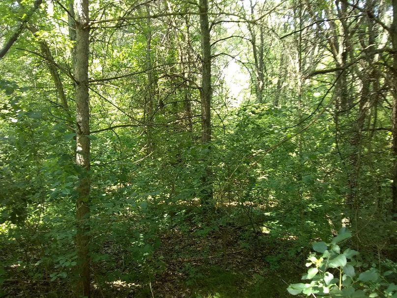 Img 20190715 131103538