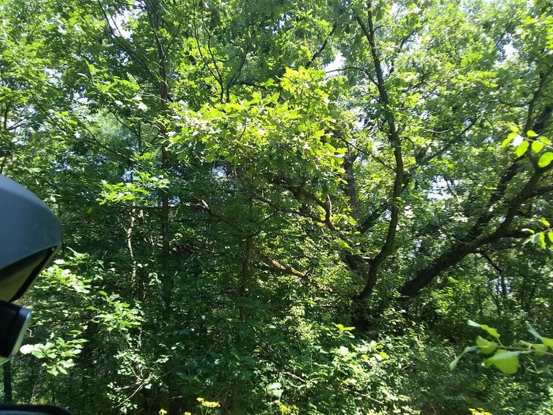 Img 20190715 131216030