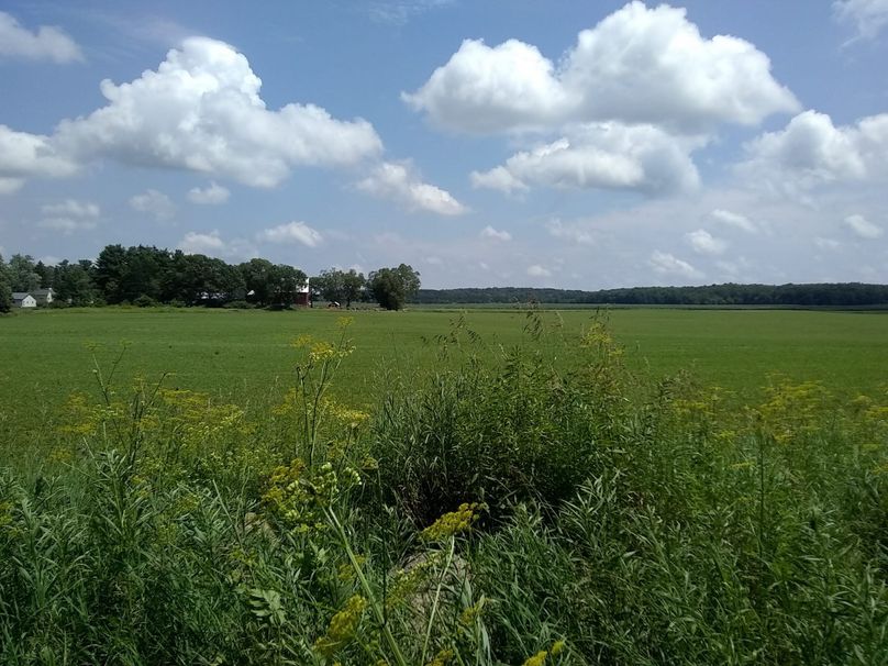 Img 20190715 132441836