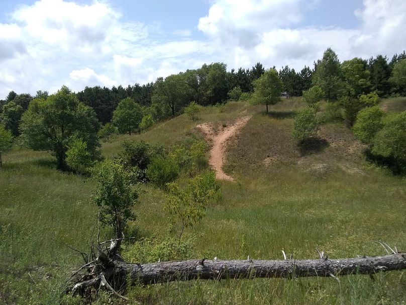 Img 20190715 132157071