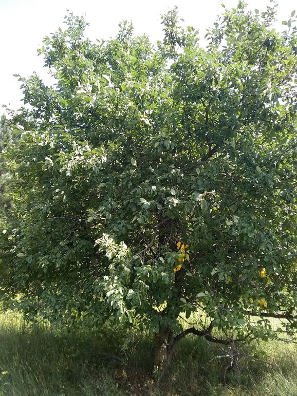 Img 20190715 132249528