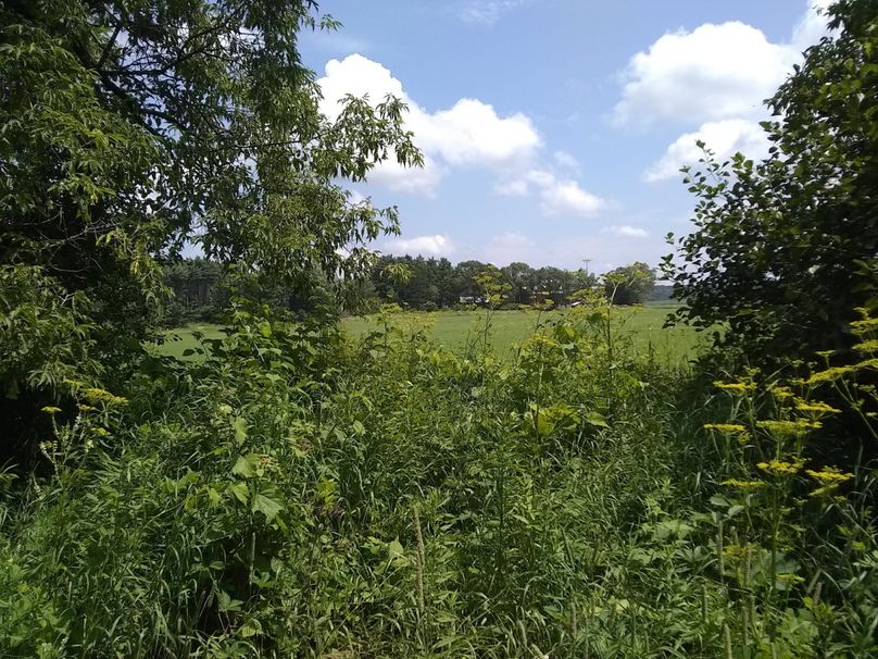 Img 20190715 132359620