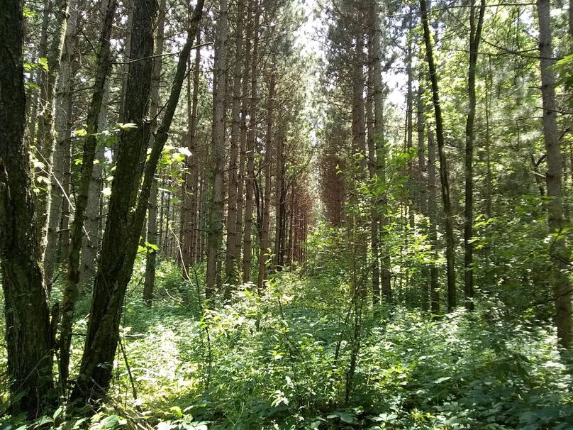 Img 20190715 133558664