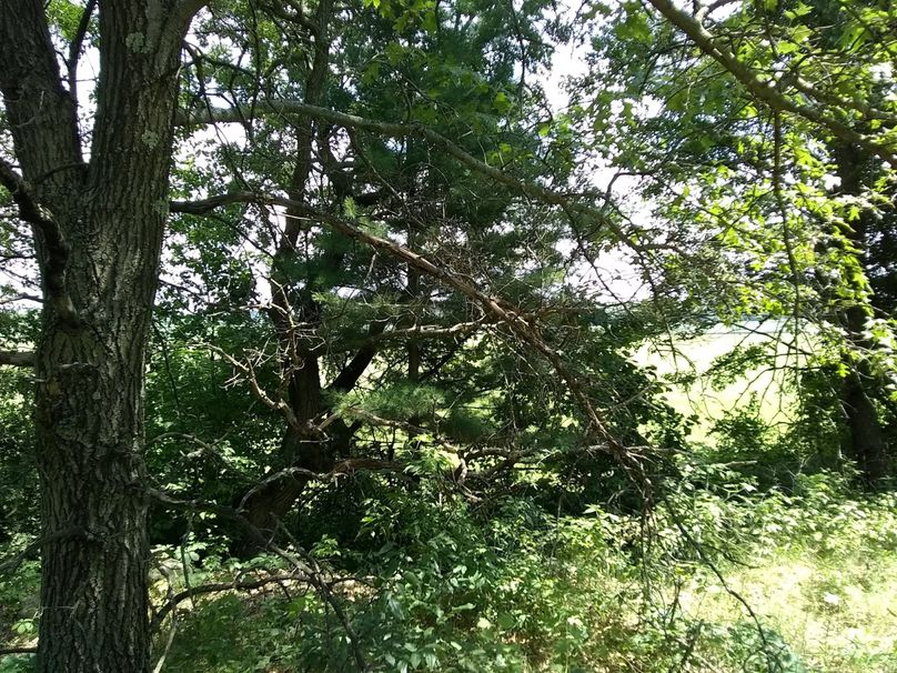 Img 20190715 133150785